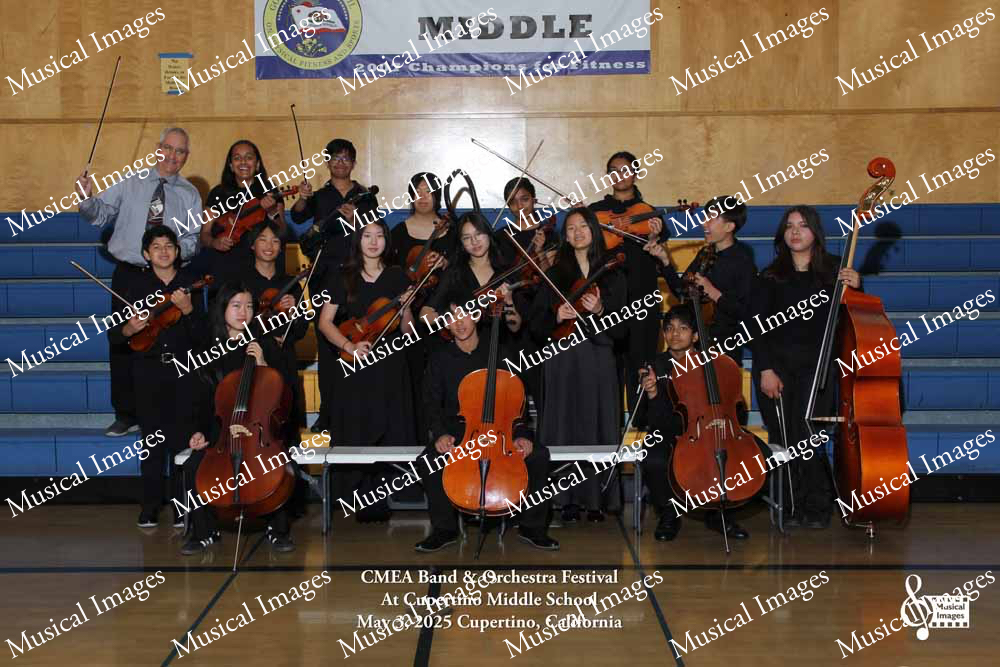 Musical Images